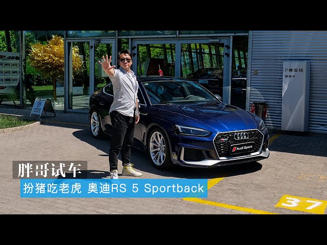 胖哥试车 扮猪吃老虎 奥迪rs 5 sportback